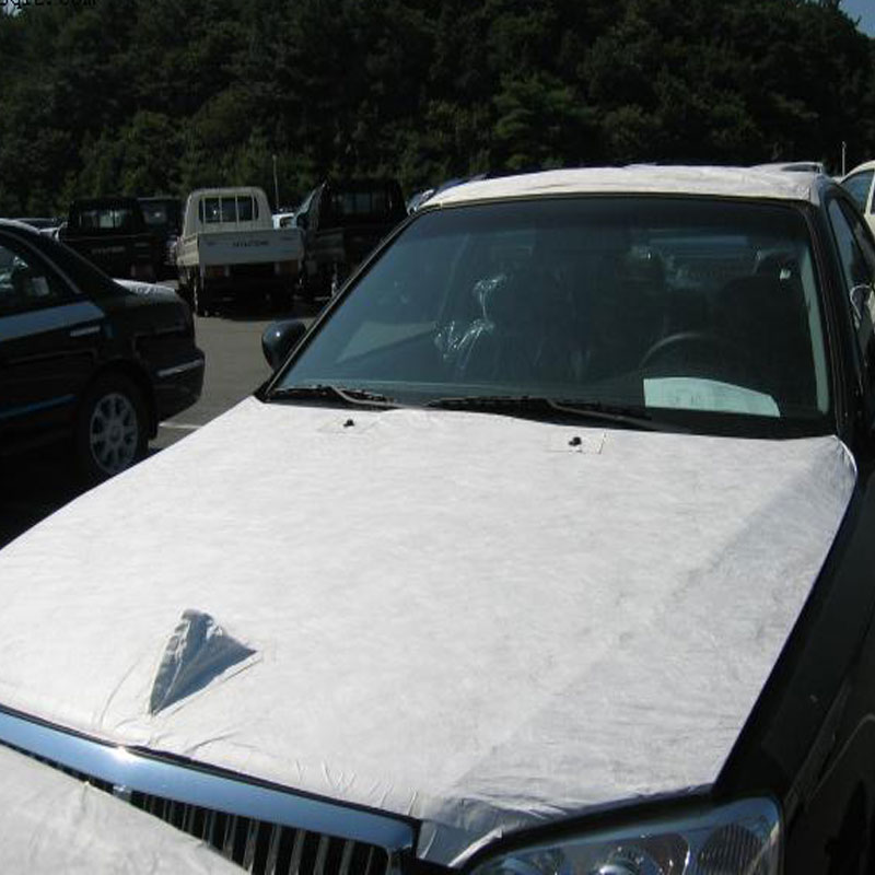  Protective Film for Vehicles interior and exterior parts